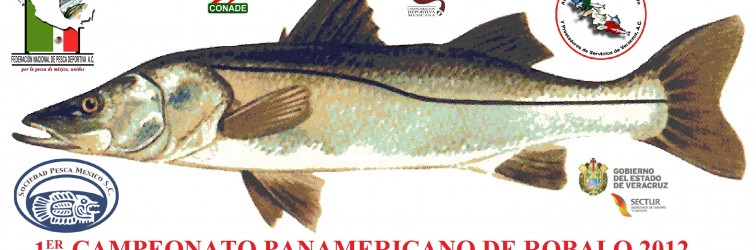 Logo Panamericano